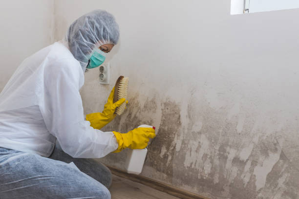 Best Crawl Space Mold Removal  in Warner Robins, GA